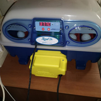 Incubatrice Borotto real 24 automatica