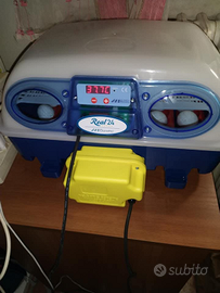 Incubatrice Borotto real 24 automatica