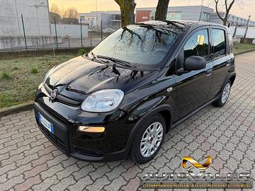 FIAT Panda 1.0 FireFly S&S Hybrid City Life KM58