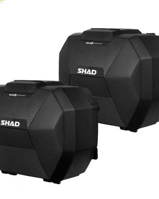 bauletti shad