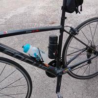 bdc focus in carbonio 