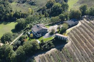 Allerona (TR) - Azienda vinicola di 47 ha | AZ369