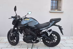 Yamaha MT-125 usato