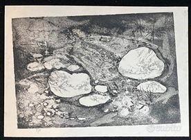 Mario Baldan - Acquaforte acquatinta - Firmata