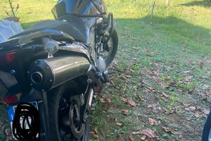 Suzuki  v strom