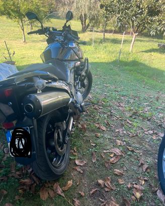 Suzuki  v strom