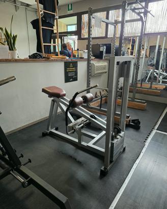 Technogym istotonic lux calf 