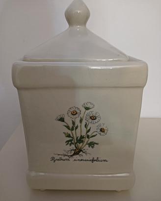 biscottiere " Colussi  " vintage 