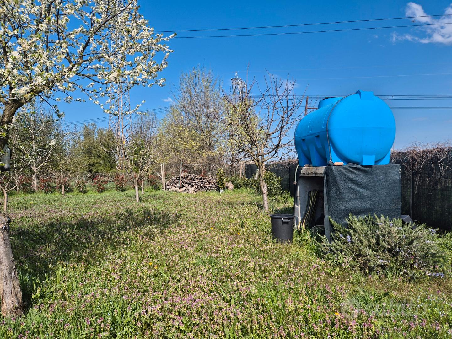 Terreno agricolo - Vista 2