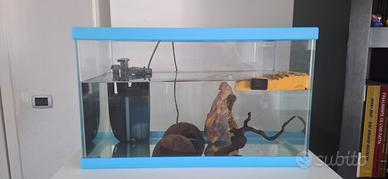 Acquario