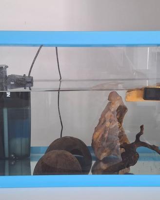 Acquario