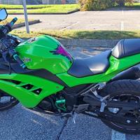 Kawasaki Ninja 300 (guidabile con A2)