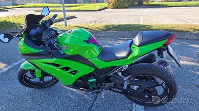 Kawasaki Ninja 300 ABS (guidabile con A2)