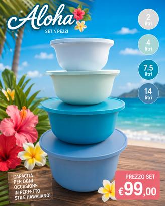 Set Ciotola Aloha 4 pezzi