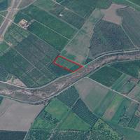 Uliveto e terreno seminativo