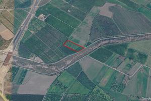 Uliveto e terreno seminativo