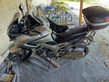 Yamaha TDM 900 anno 2003