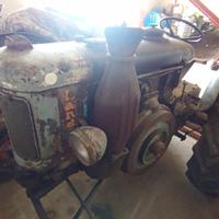 Landini testa calda 30