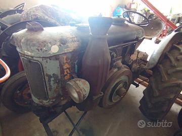 Landini testa calda 30