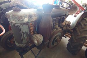 Landini testa calda 30