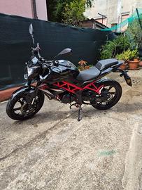 Benelli bn 125 2024