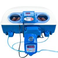 incubatrice borotto real plus 49 