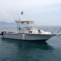 Bayliner Trophy 23.50