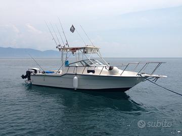 Bayliner Trophy 23.50