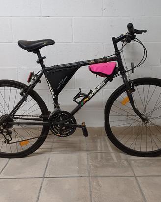 MTB Bottecchia Wild Adventure 