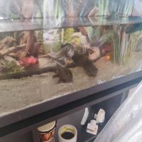 Acquario 120 litri