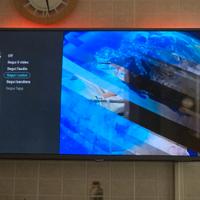 TV Philips 43" 4K con Ambilight 43PUS6703/12