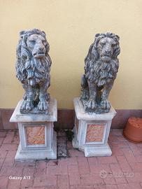 coppia di  leoni