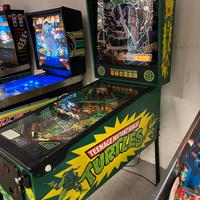 Flipper pinball  Turtles