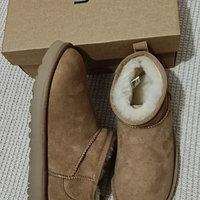 Stivali UGG da donna in castagna 36