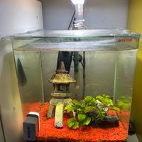 Acquario amtra nanotank system 30