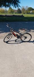 Bicicletta Mountain Bike