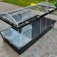 Gabbia per conigli e porcellini d’india 119x58x60