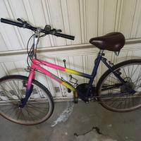 Bicicletta montain bike