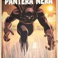 Pantera nera - chi è pantera nera 