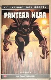 Pantera nera - chi è pantera nera 