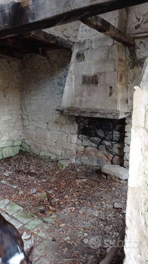 Terreno con antico metato - Vista 4