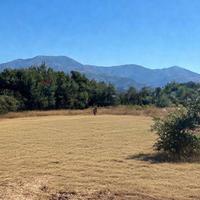 Terreno - Castiglione di Sicilia