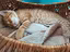 Immagine 5