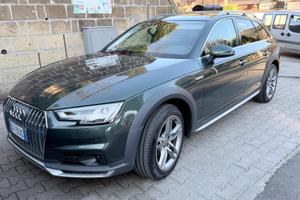 Audi A4 allroad 2.0 TDI 190 CV  2016 S tronic