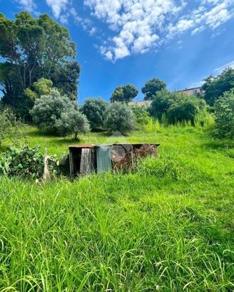 TER. RESIDENZIALE A CANTALUPO IN SABINA