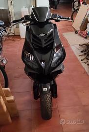 Derbi GP1 250 - 2008