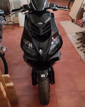 Derbi GP1 250 - 2008
