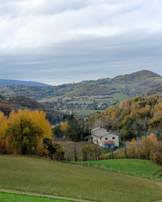 Rustico con terreni