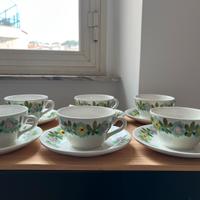 Servizio the richard Ginori mondovi  estate