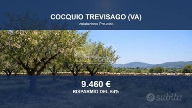 Immobile in asta di 4780 m² a Cocquio-Trevisago